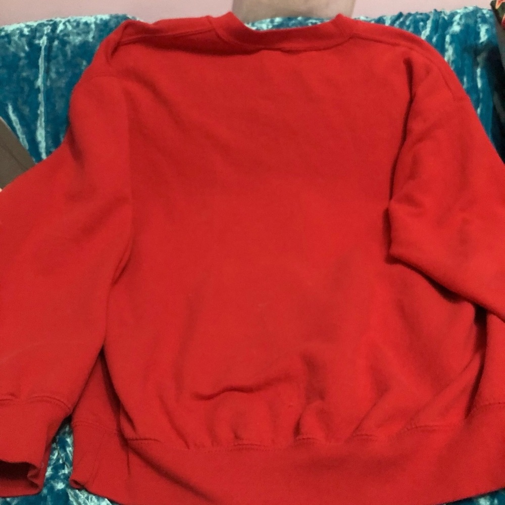 Custom Hawks Pullover - image 2